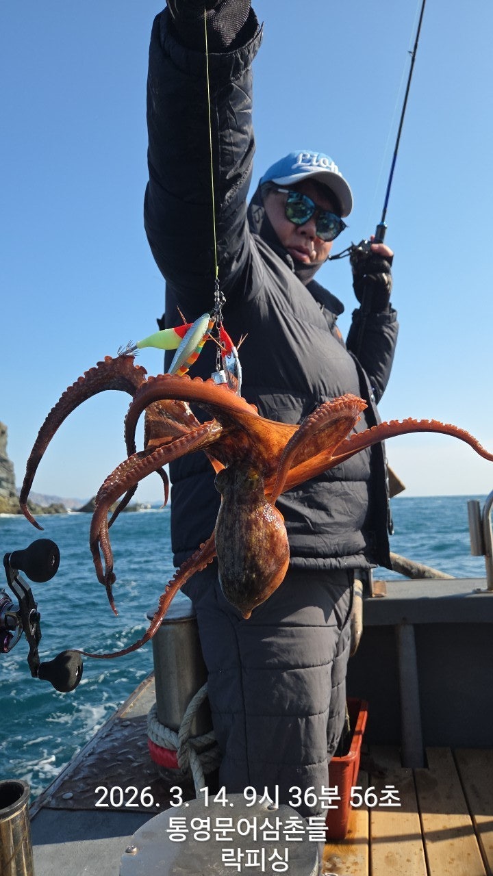 ����ڰ� �ø� �̹���