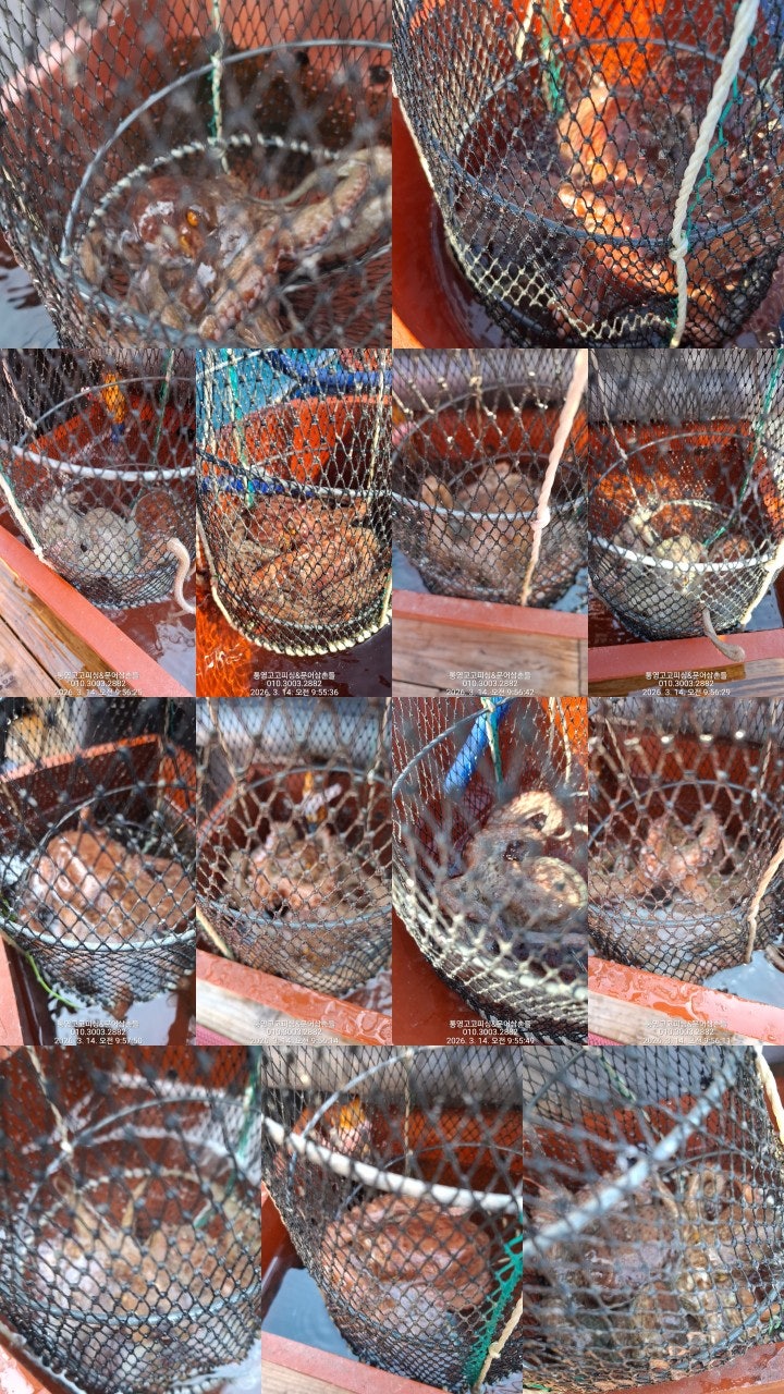 ����ڰ� �ø� �̹���