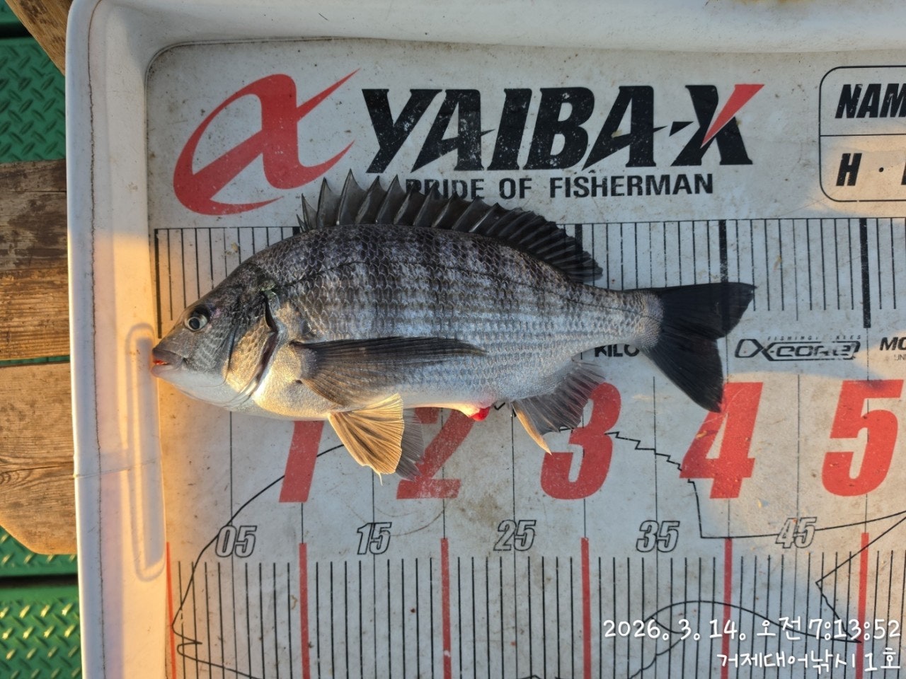 ����ڰ� �ø� �̹���