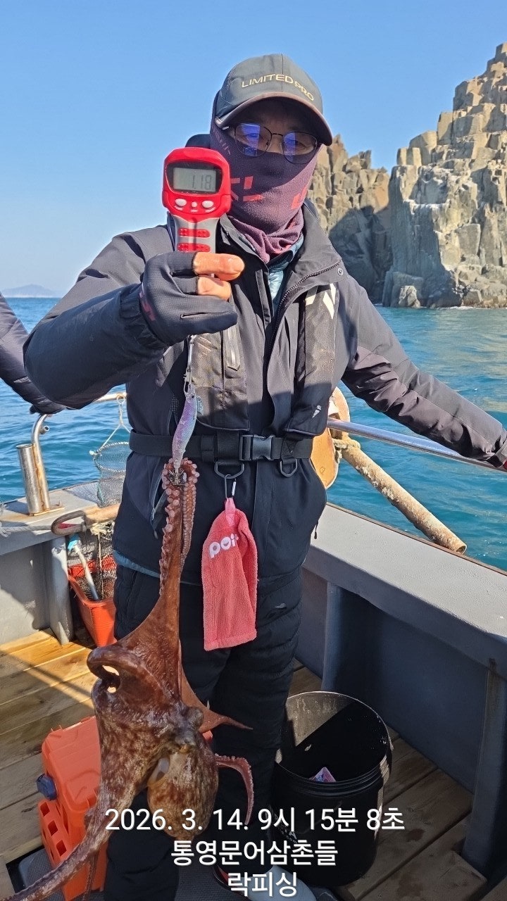 ����ڰ� �ø� �̹���