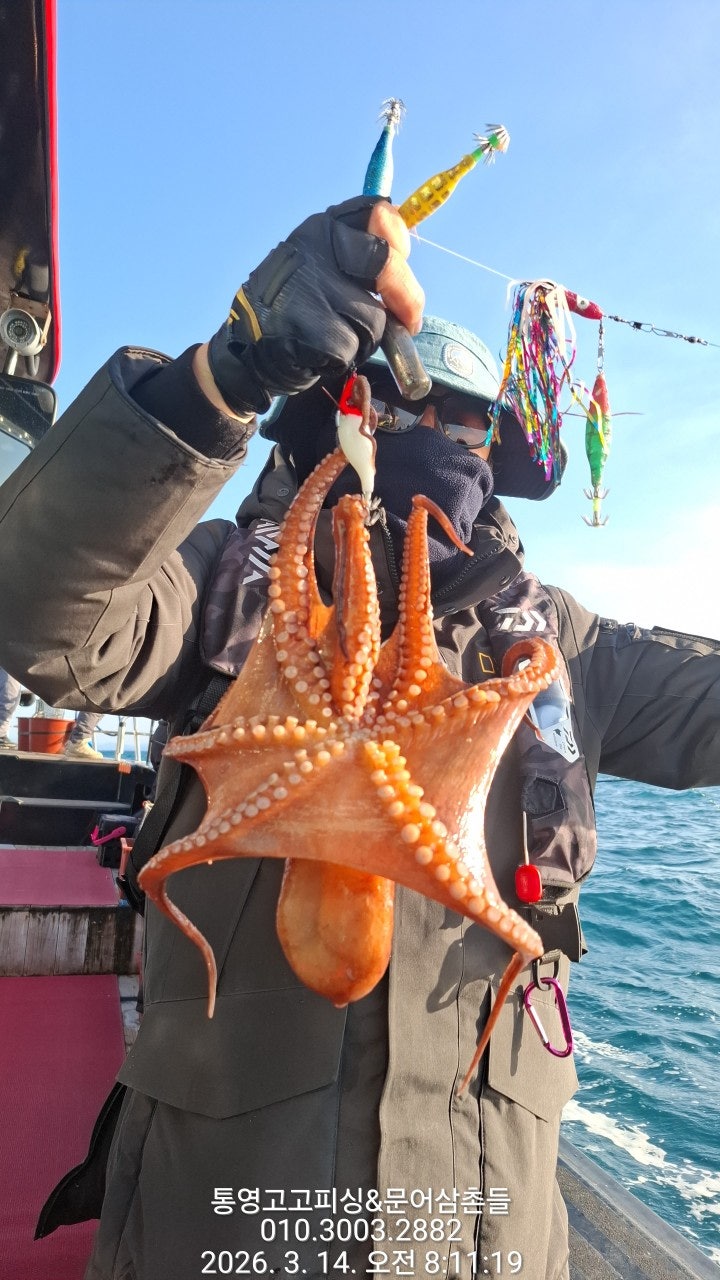 ����ڰ� �ø� �̹���