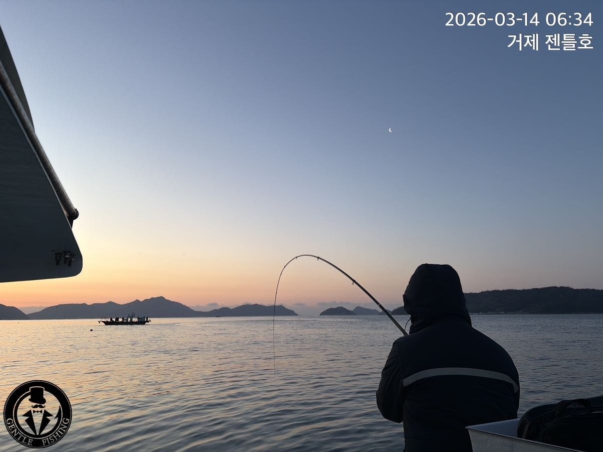 ����ڰ� �ø� �̹���