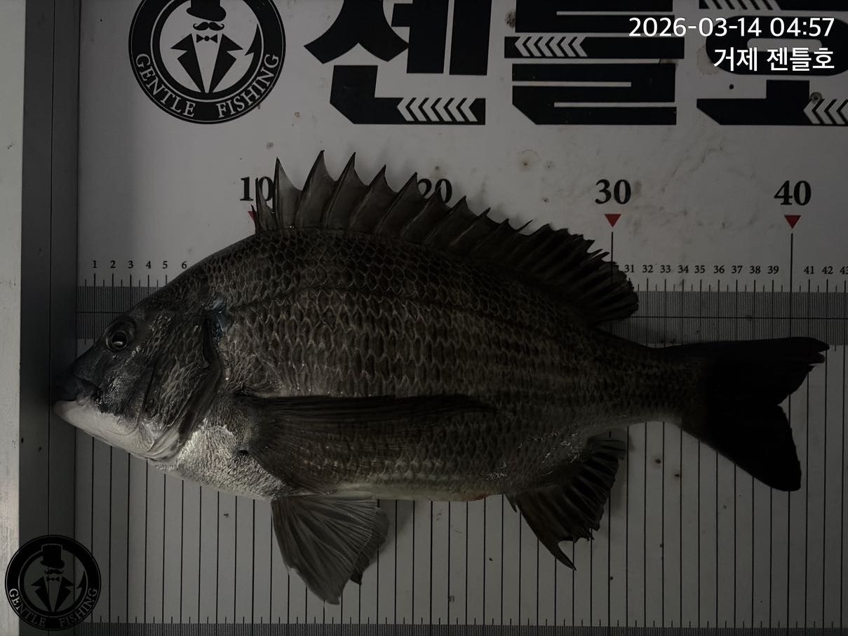 ����ڰ� �ø� �̹���