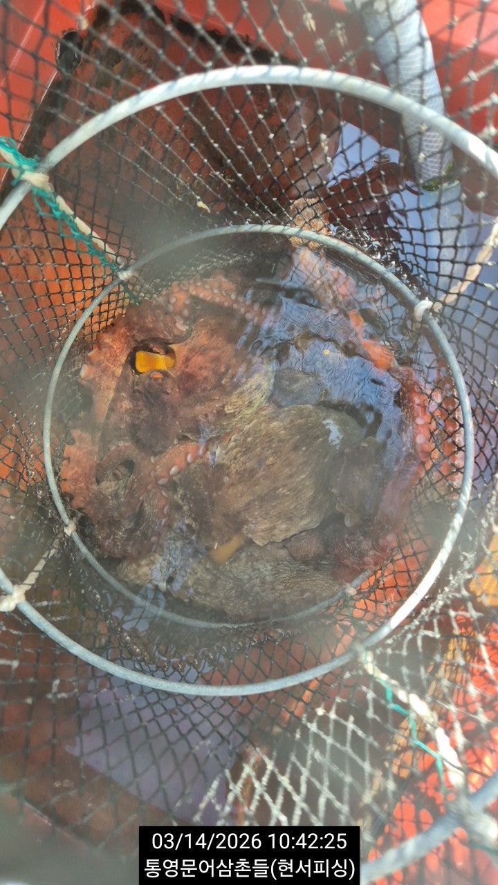 ����ڰ� �ø� �̹���