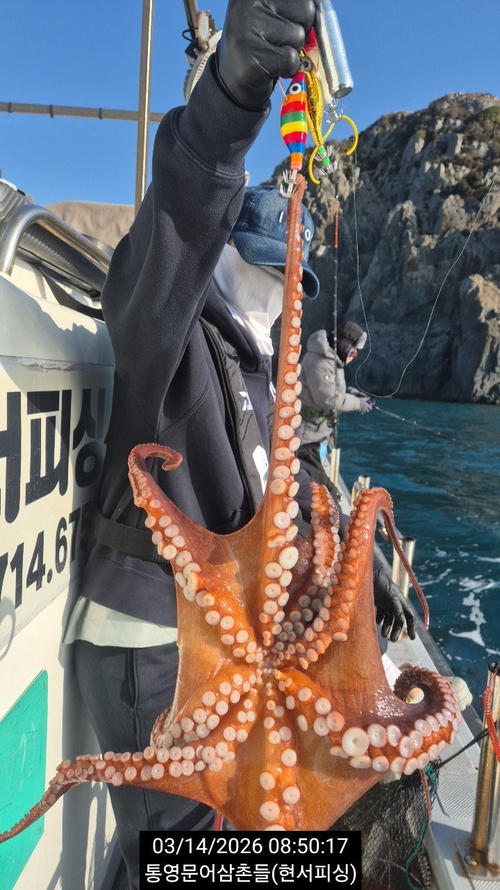 ����ڰ� �ø� �̹���