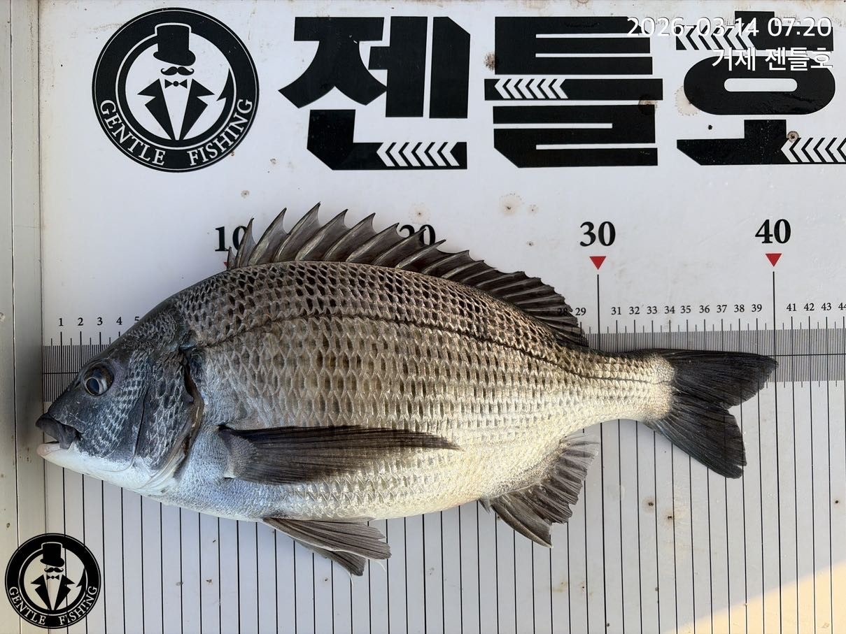 ����ڰ� �ø� �̹���