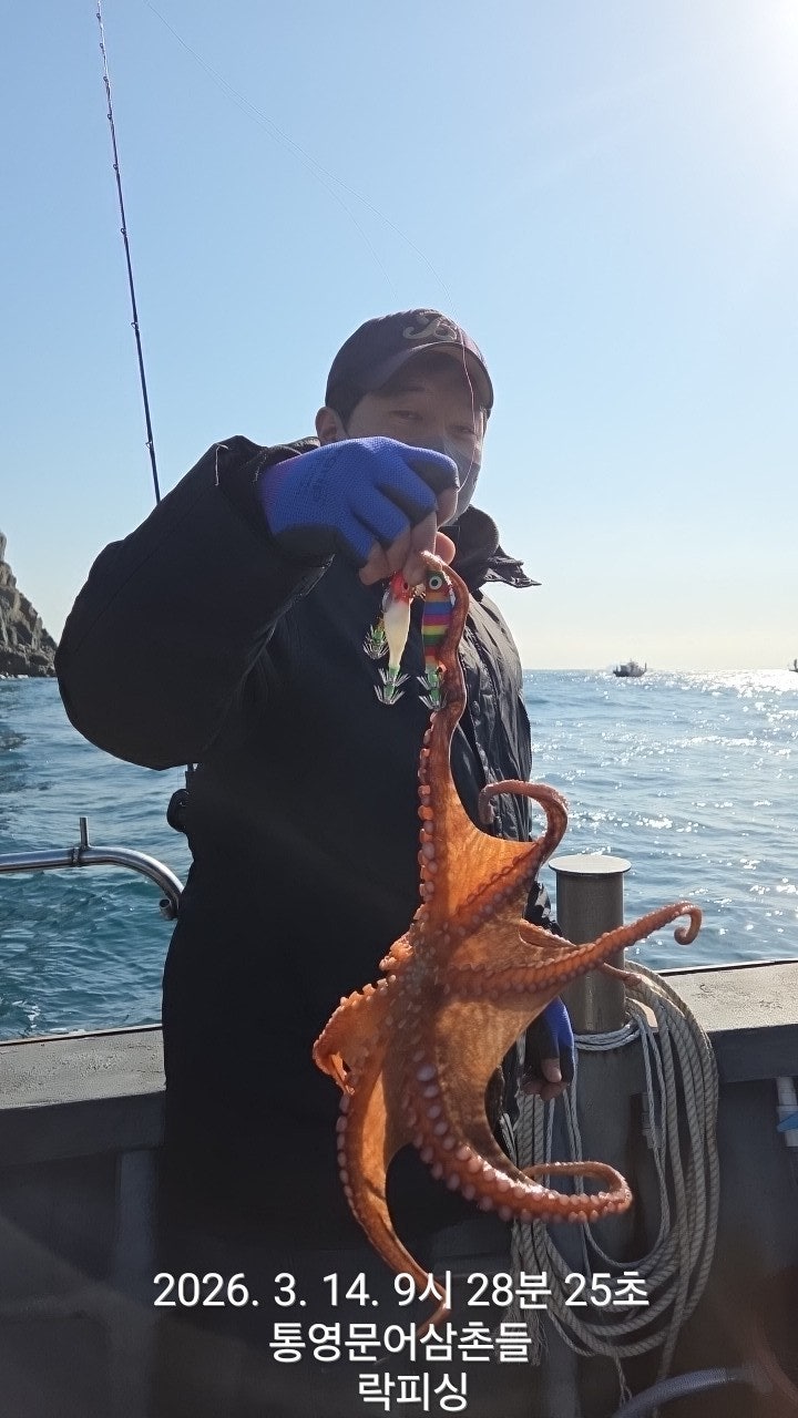 ����ڰ� �ø� �̹���