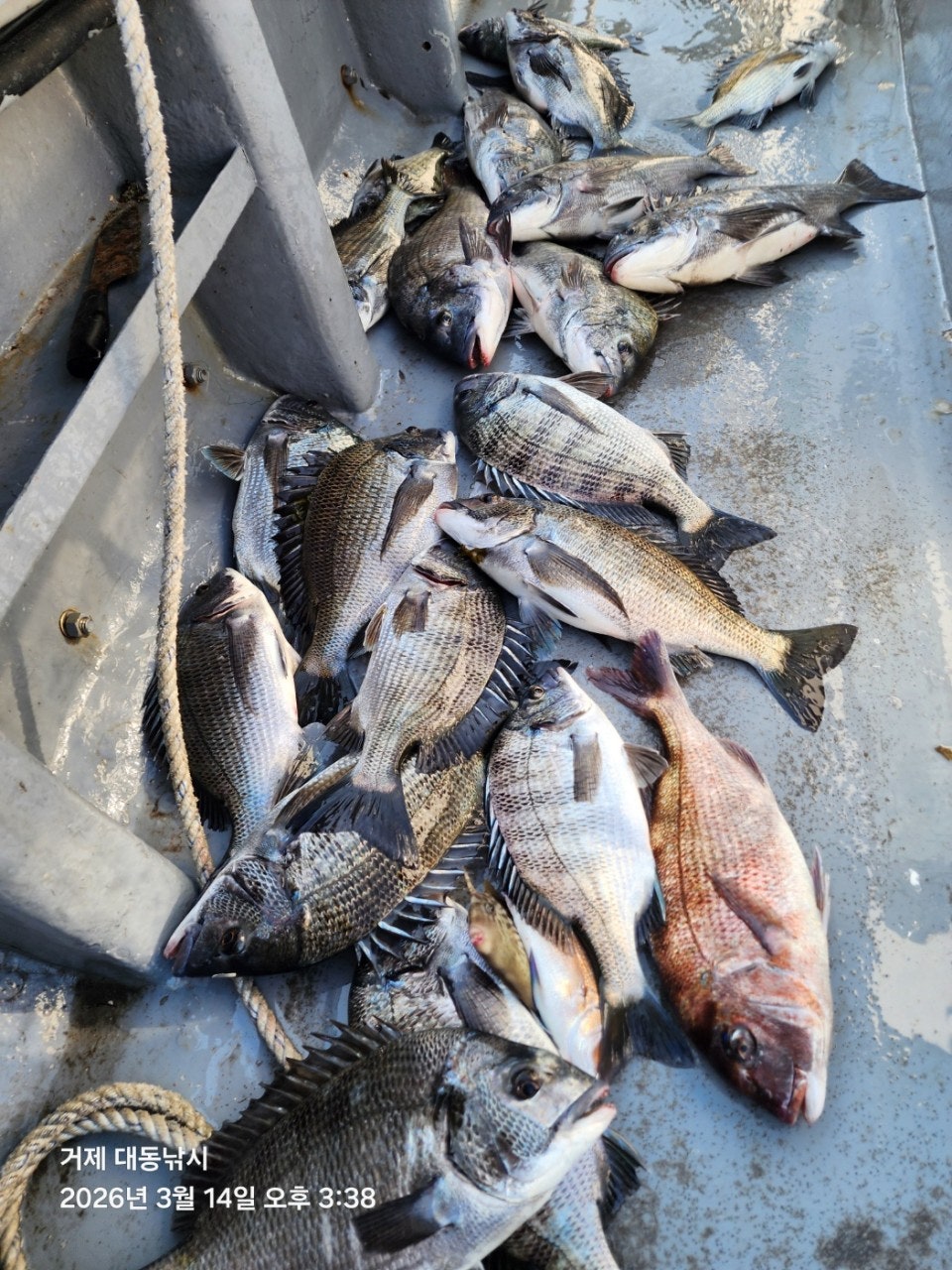 ����ڰ� �ø� �̹���