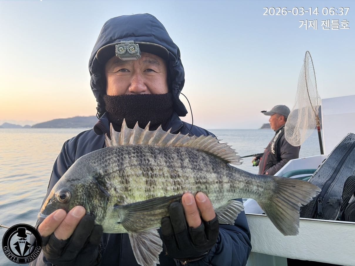 ����ڰ� �ø� �̹���