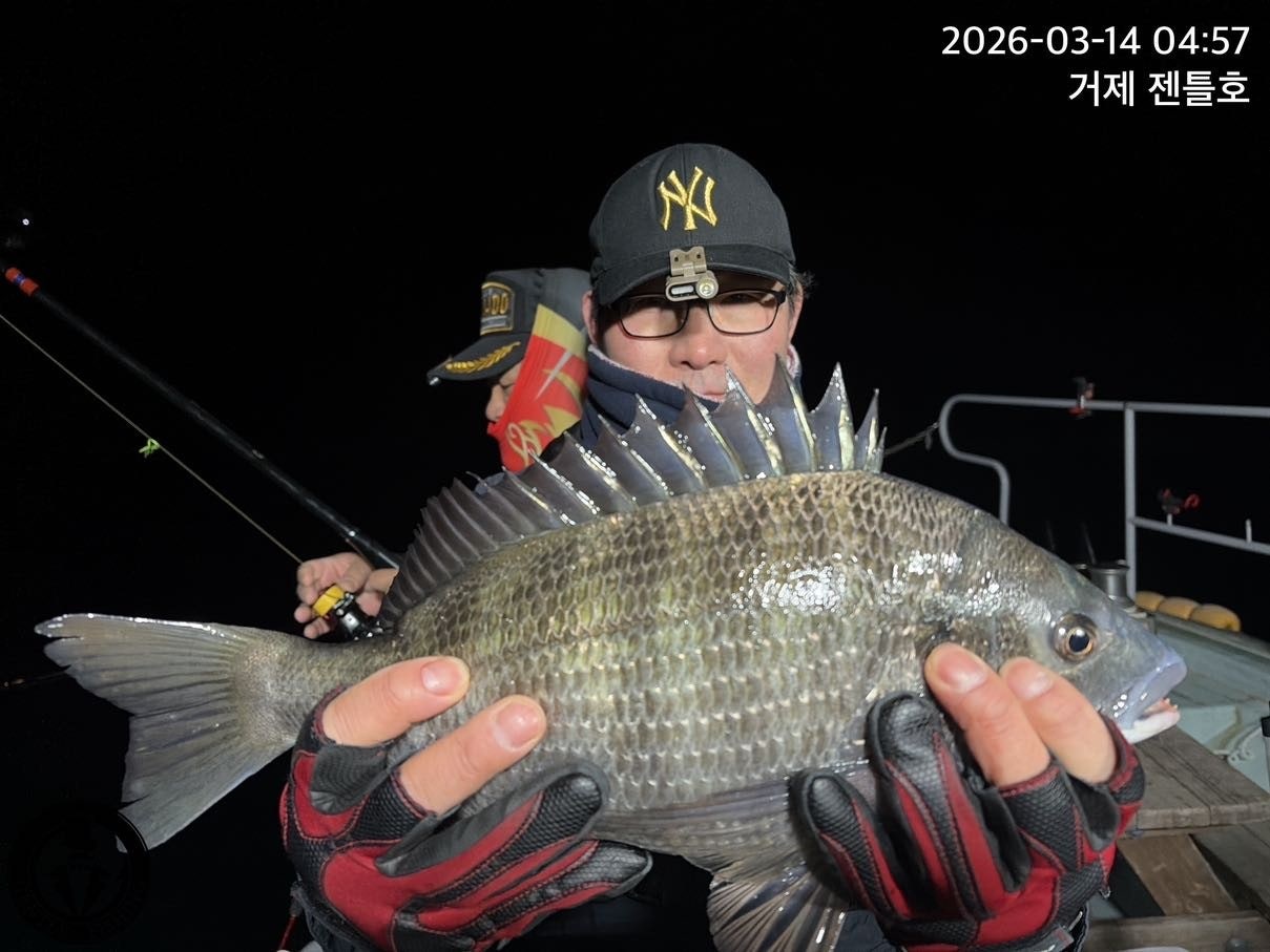 ����ڰ� �ø� �̹���