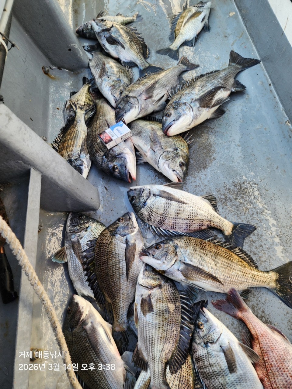 ����ڰ� �ø� �̹���