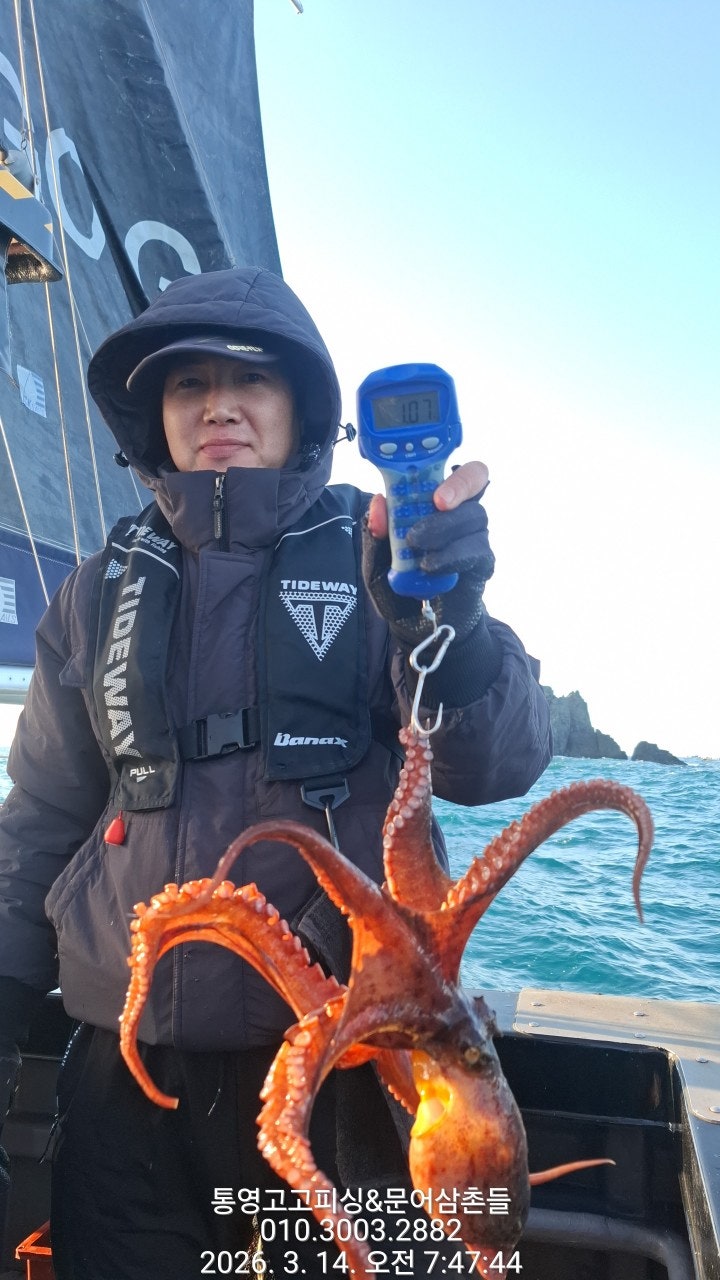 ����ڰ� �ø� �̹���