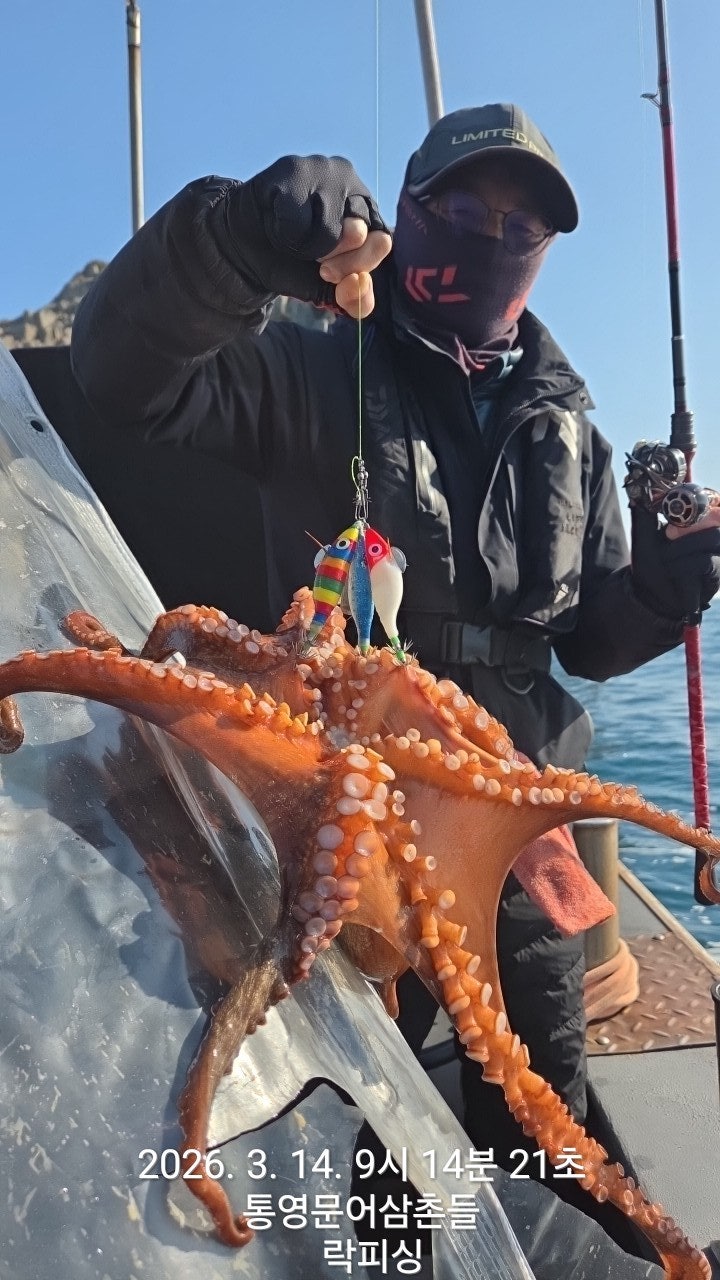 ����ڰ� �ø� �̹���