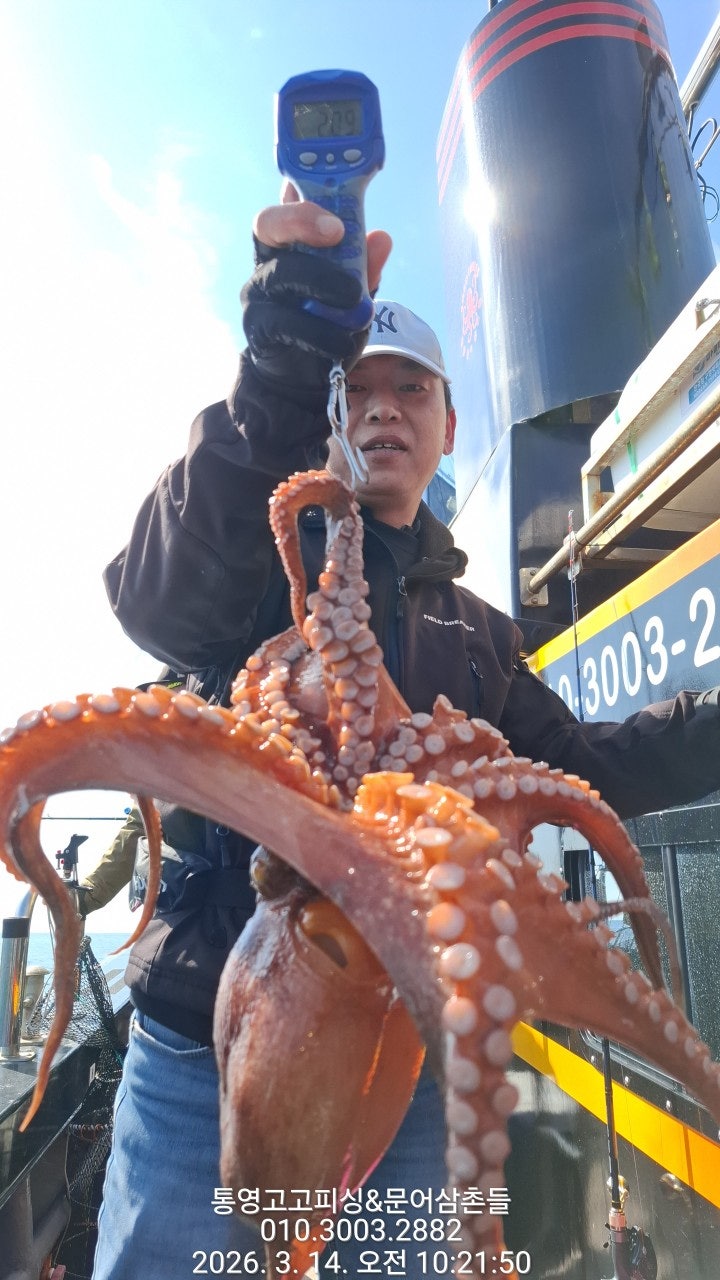 ����ڰ� �ø� �̹���