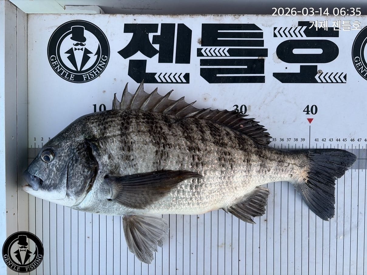 ����ڰ� �ø� �̹���