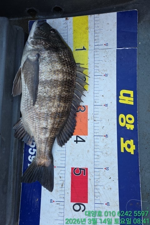 ����ڰ� �ø� �̹���