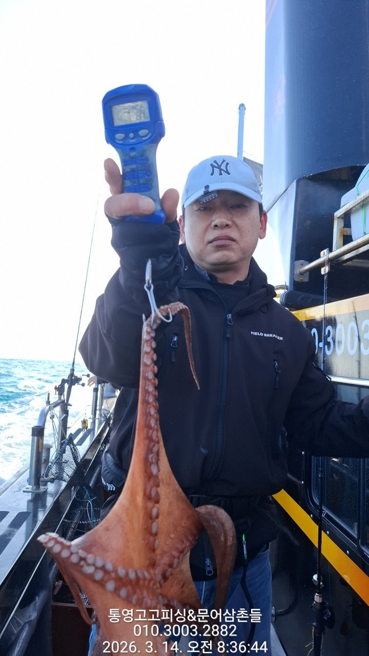 ����ڰ� �ø� �̹���