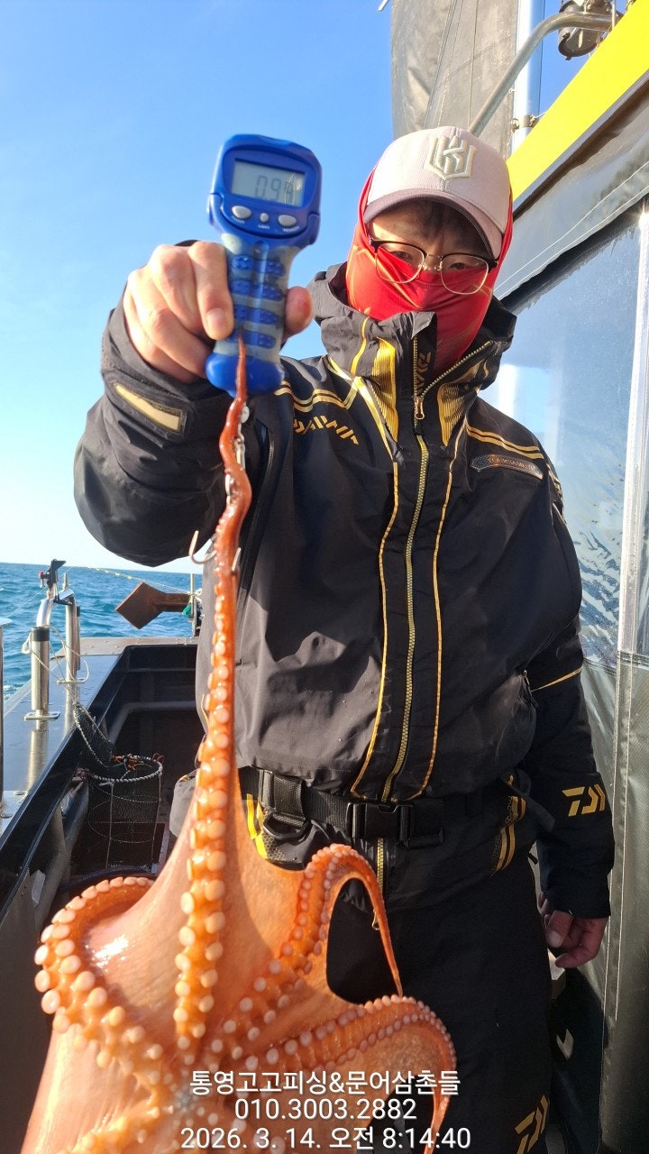 ����ڰ� �ø� �̹���