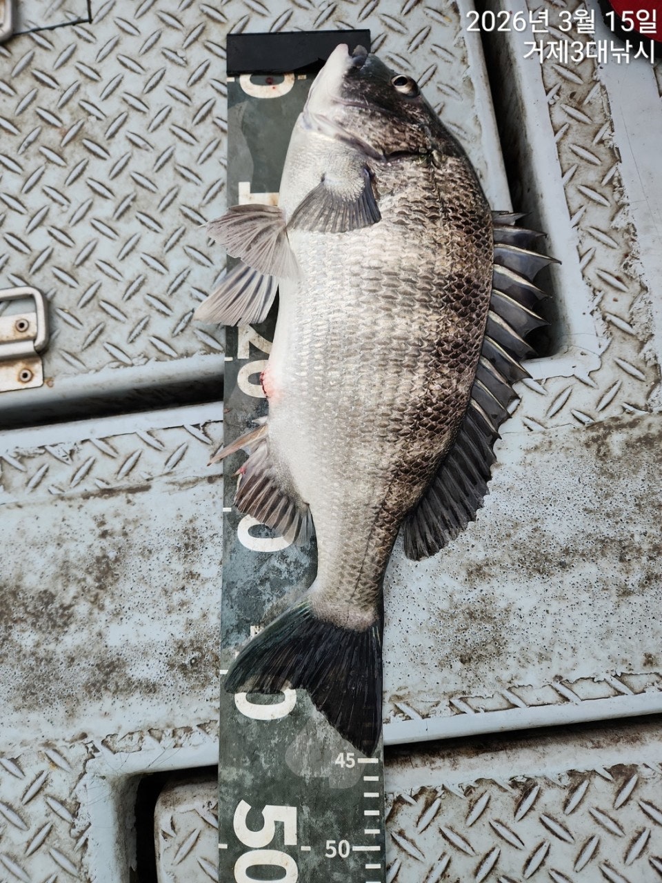 ����ڰ� �ø� �̹���