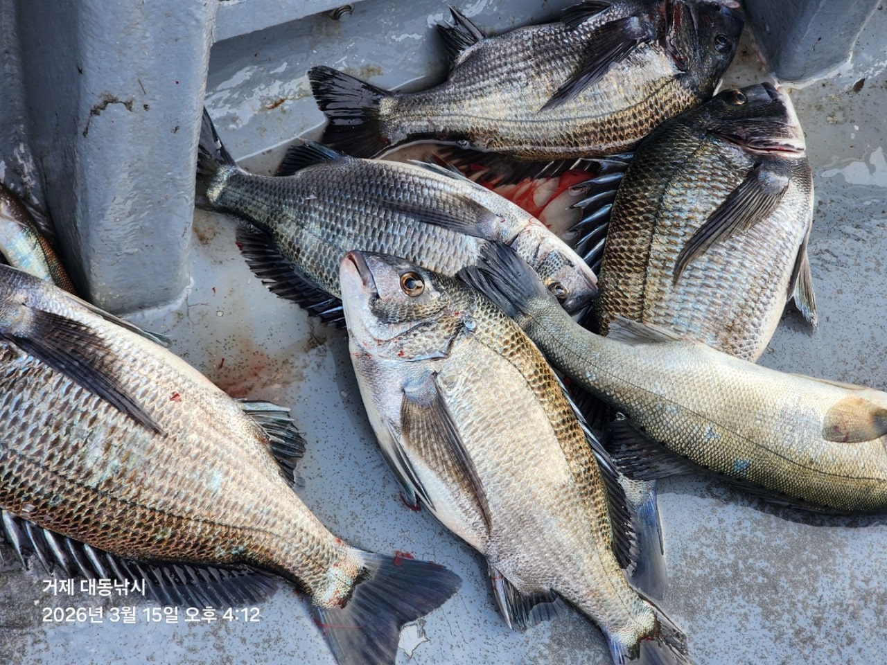 ����ڰ� �ø� �̹���