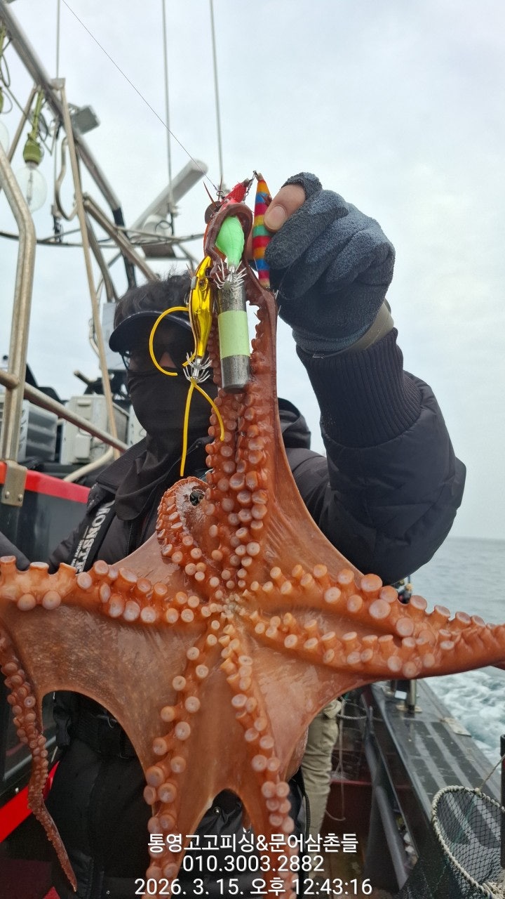 ����ڰ� �ø� �̹���