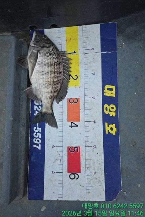 ����ڰ� �ø� �̹���