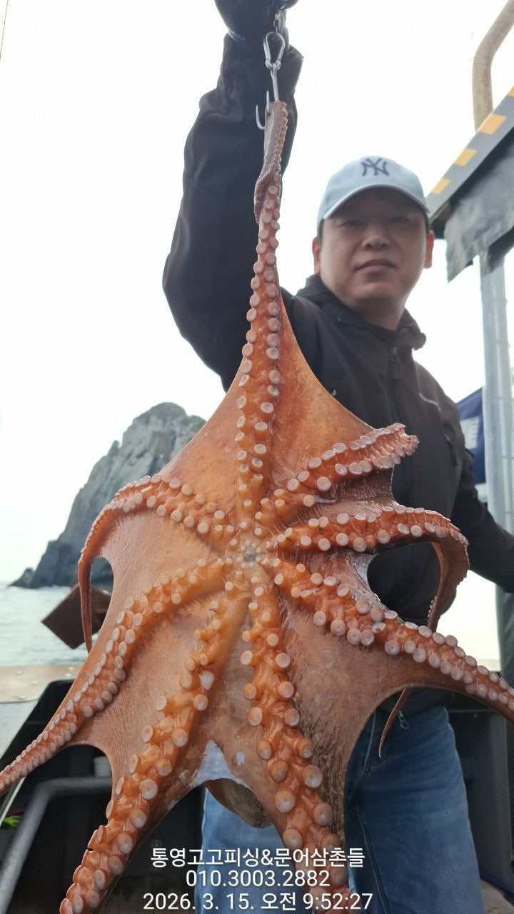 ����ڰ� �ø� �̹���