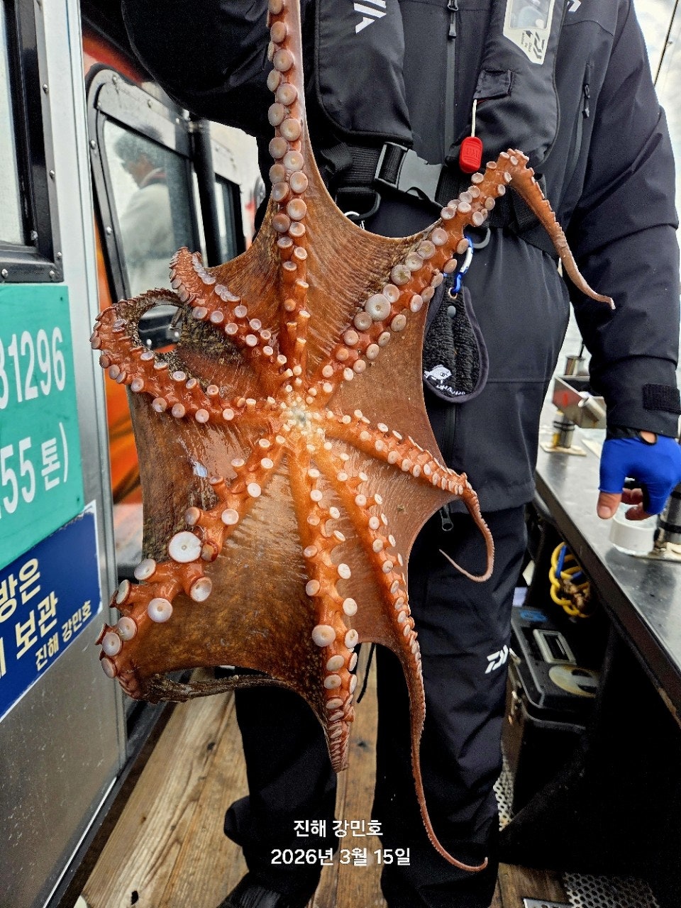 ����ڰ� �ø� �̹���