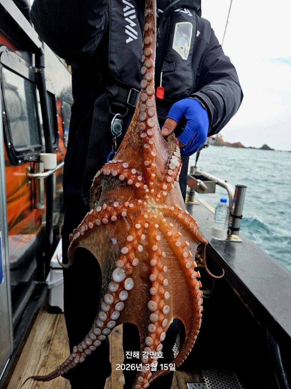 ����ڰ� �ø� �̹���