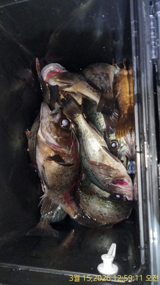 ����ڰ� �ø� �̹���