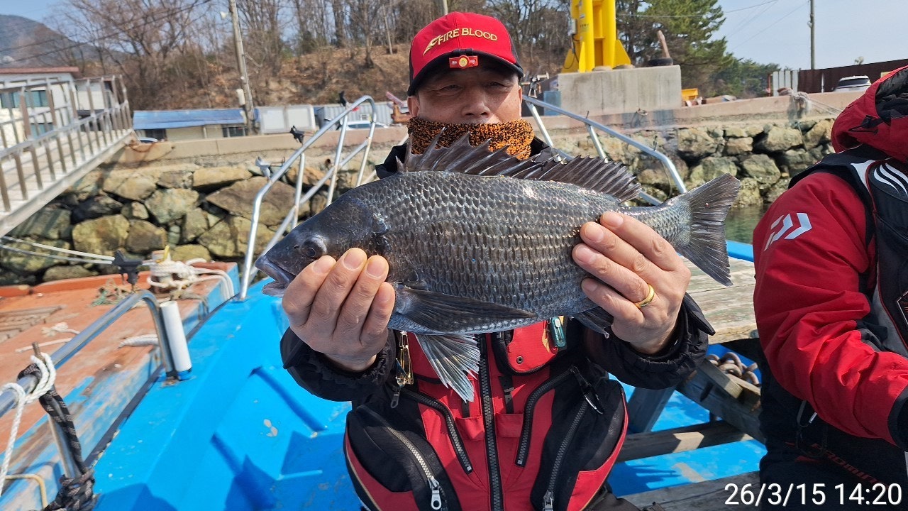 ����ڰ� �ø� �̹���