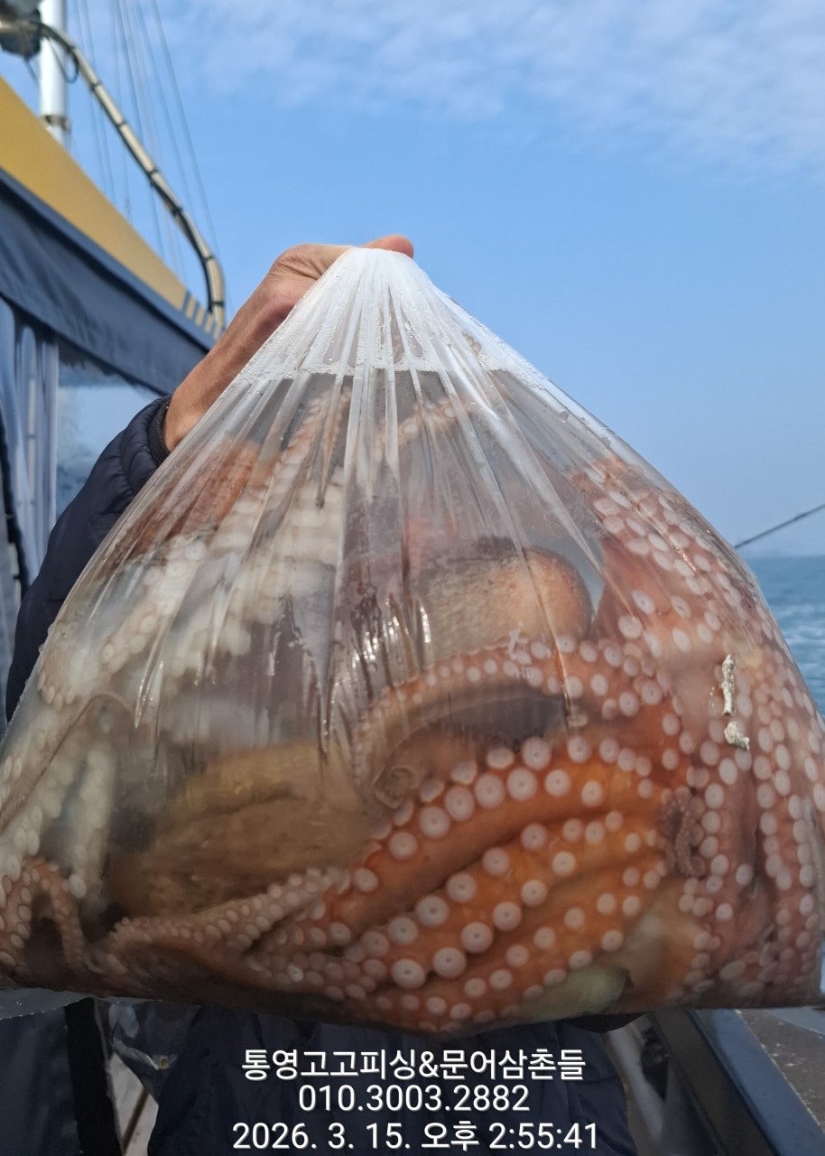 ����ڰ� �ø� �̹���