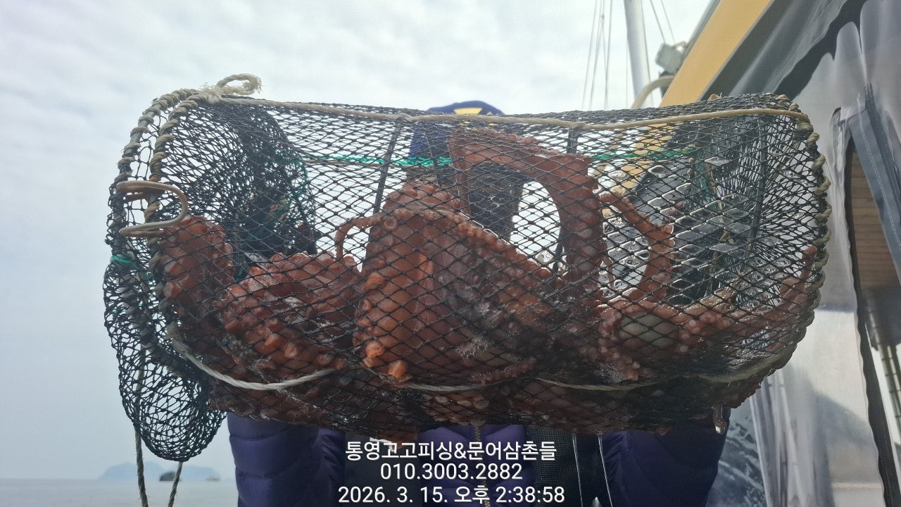 ����ڰ� �ø� �̹���