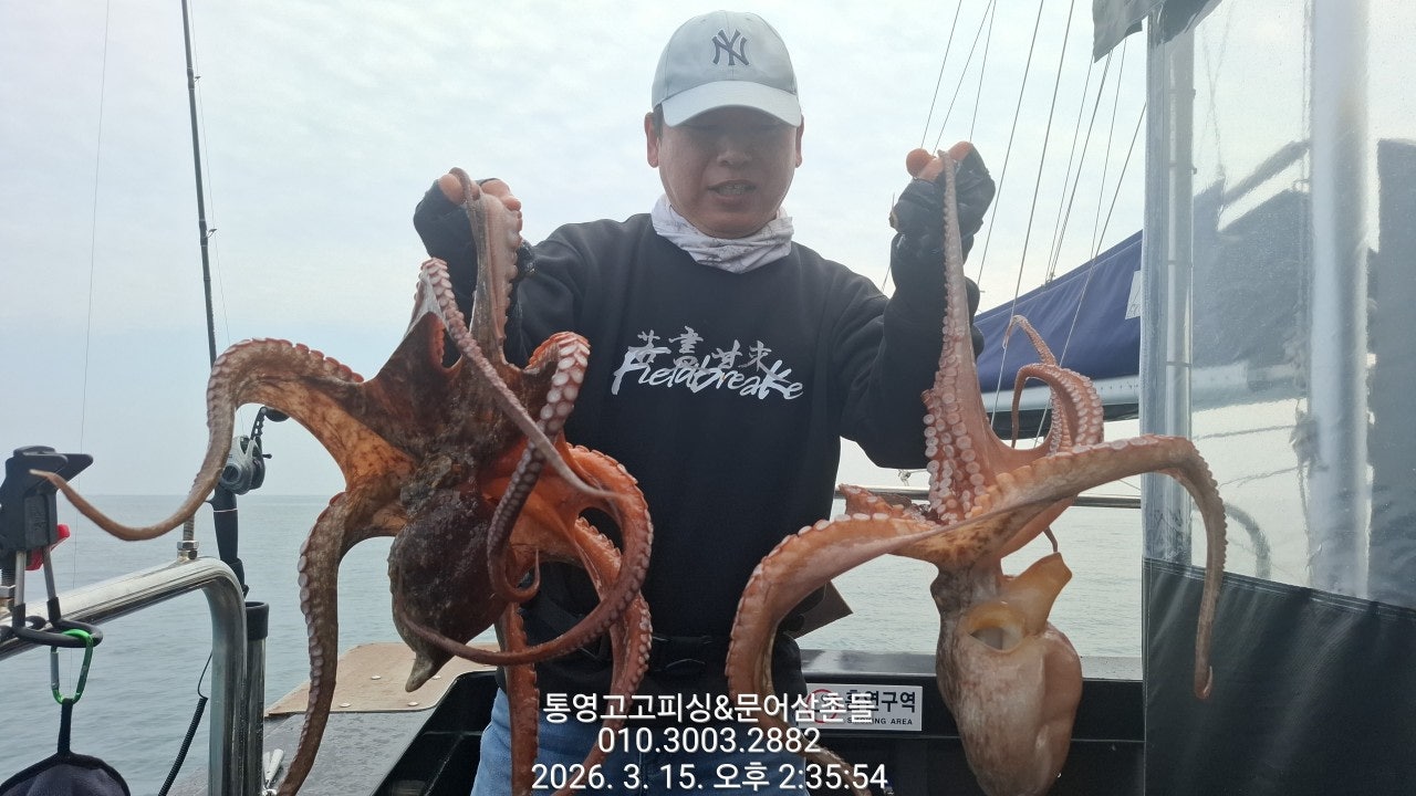 ����ڰ� �ø� �̹���