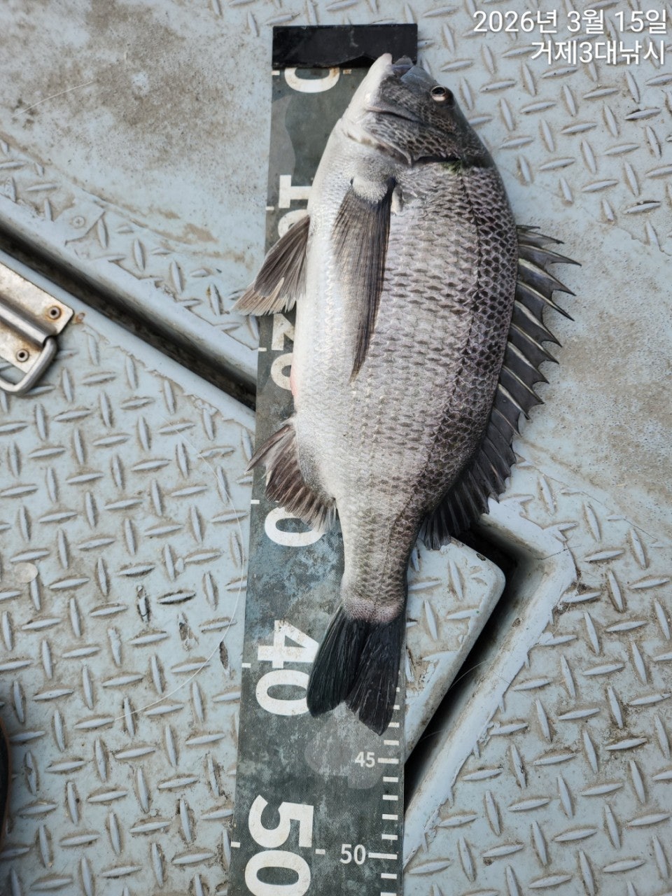 ����ڰ� �ø� �̹���