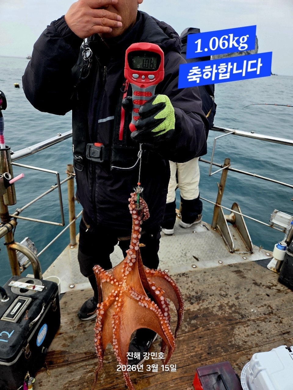 ����ڰ� �ø� �̹���