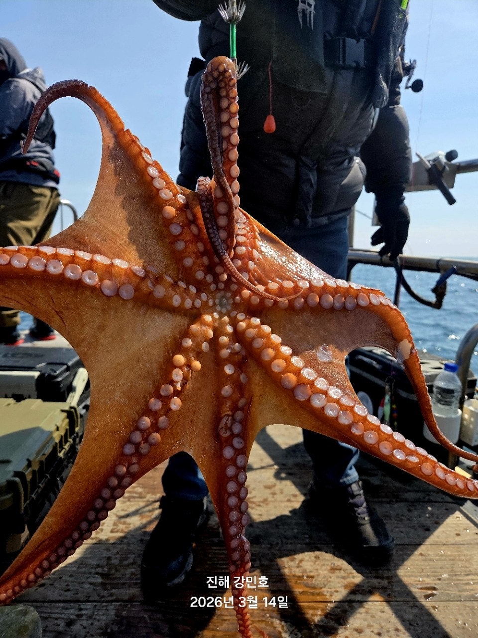 ����ڰ� �ø� �̹���