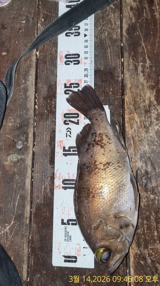 ����ڰ� �ø� �̹���