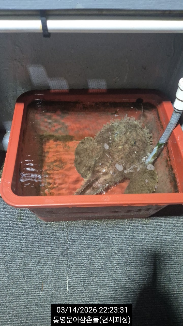 ����ڰ� �ø� �̹���