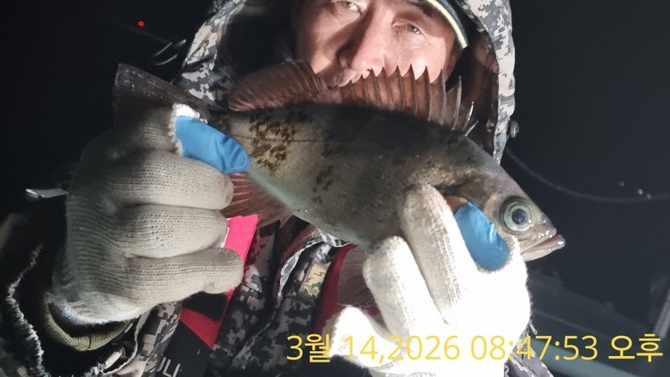 ����ڰ� �ø� �̹���