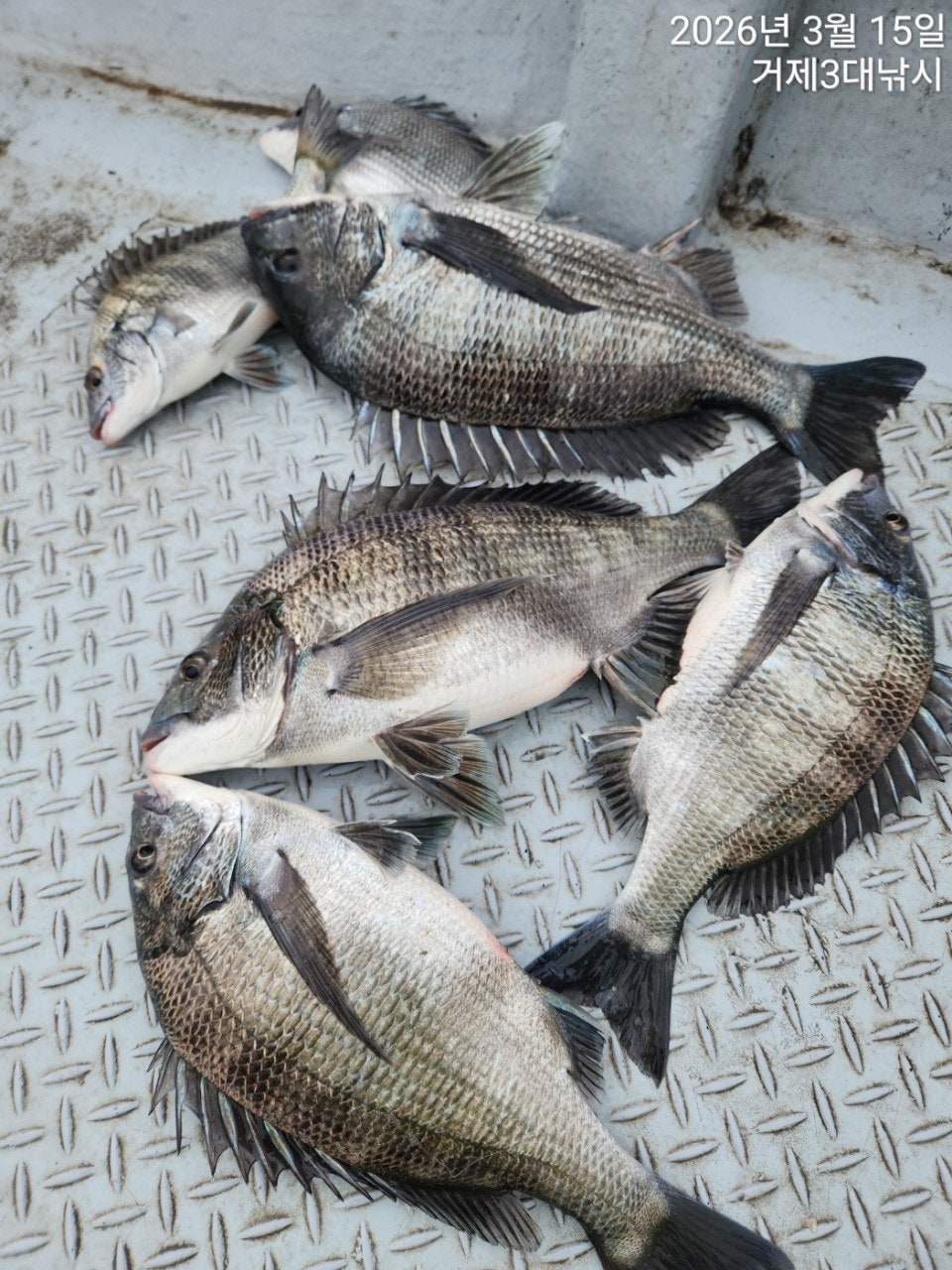 ����ڰ� �ø� �̹���