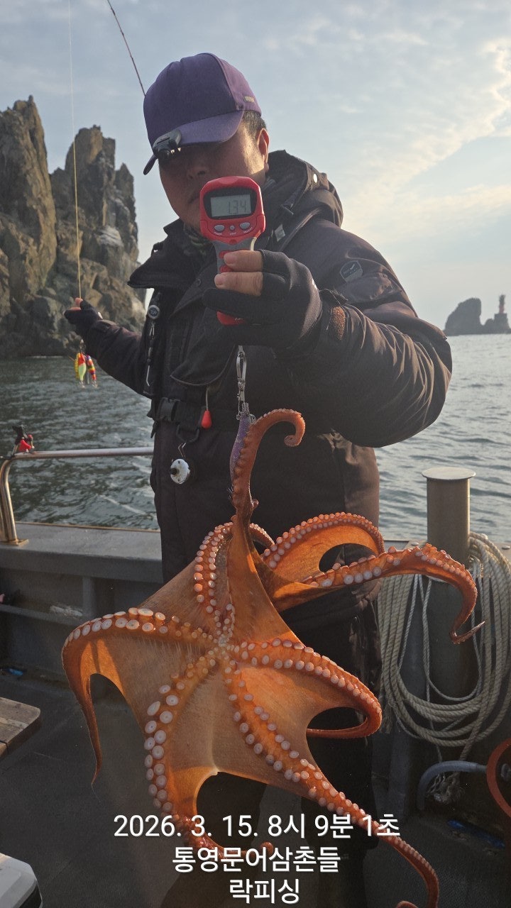 ����ڰ� �ø� �̹���