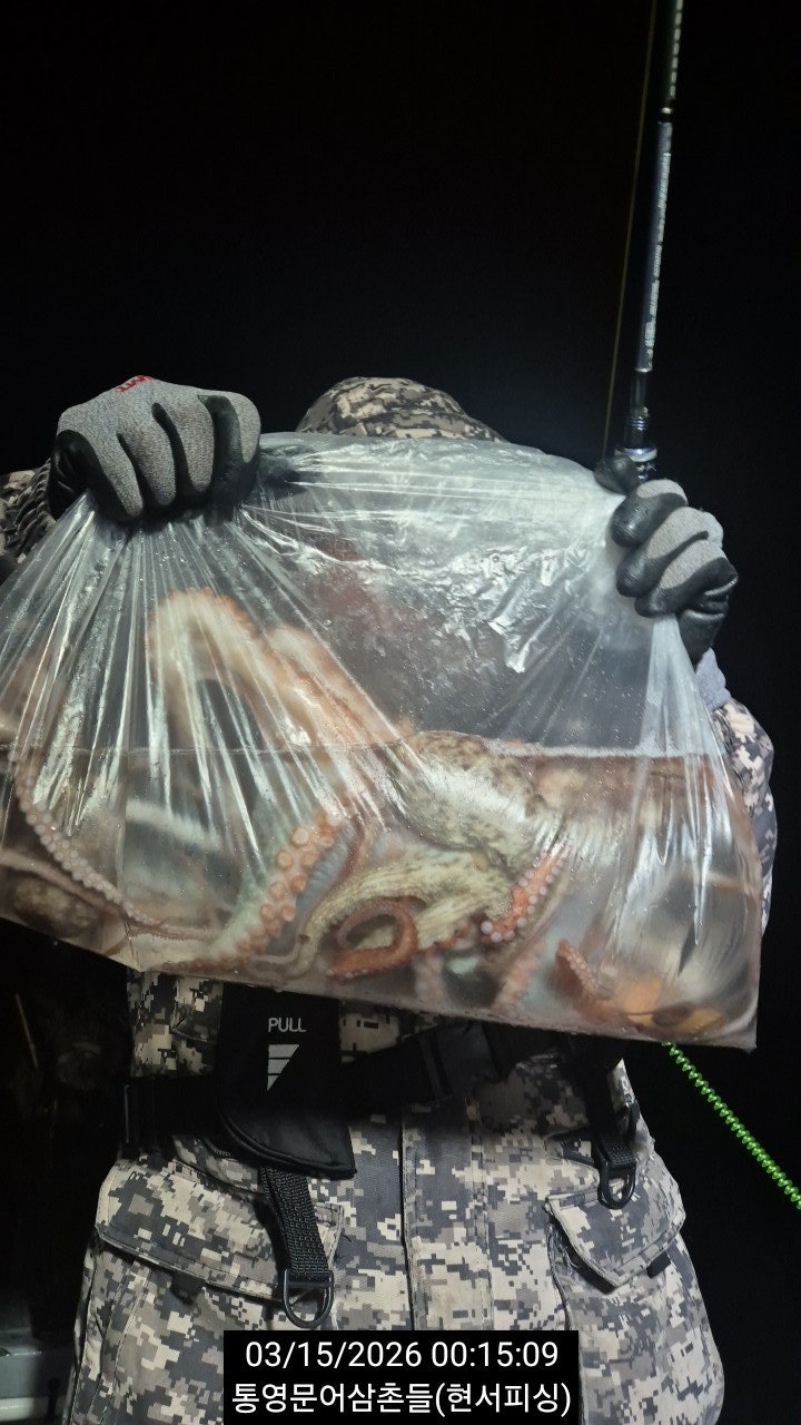 ����ڰ� �ø� �̹���