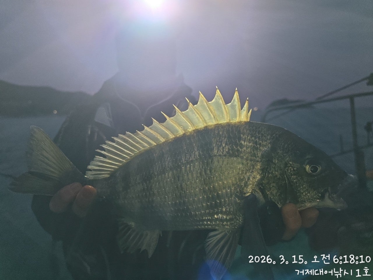 ����ڰ� �ø� �̹���