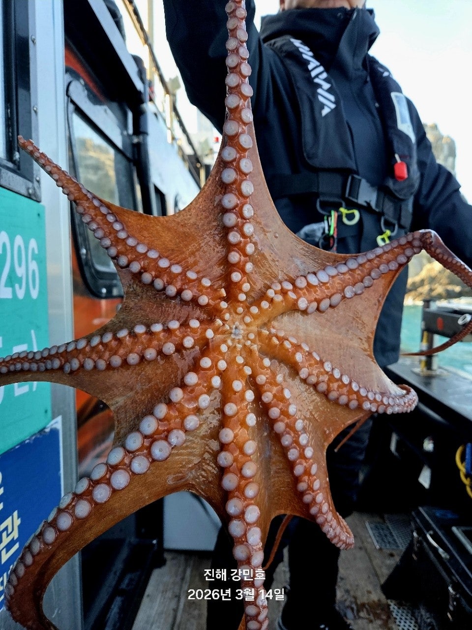 ����ڰ� �ø� �̹���