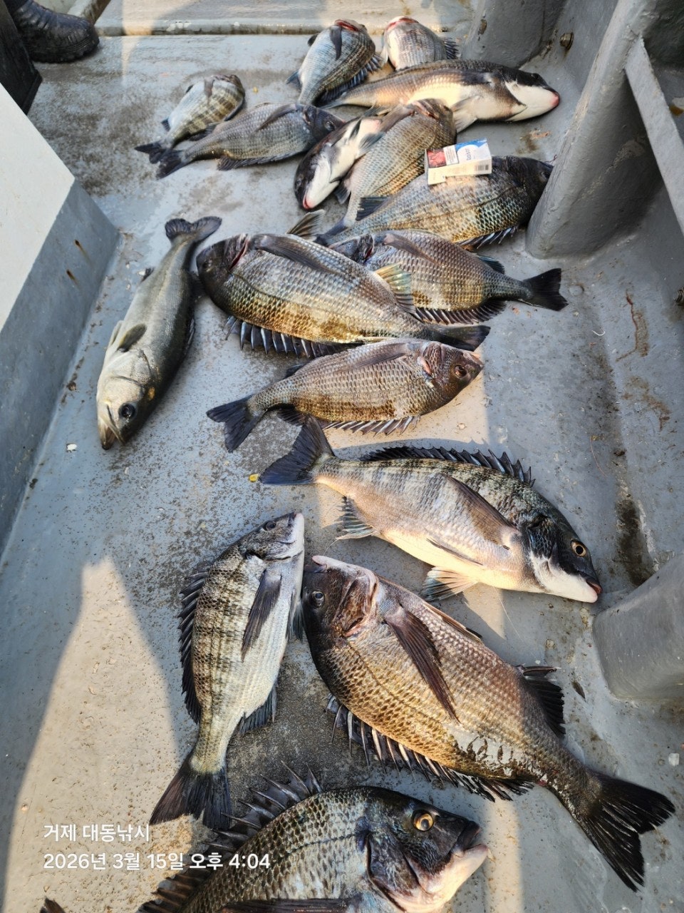 ����ڰ� �ø� �̹���