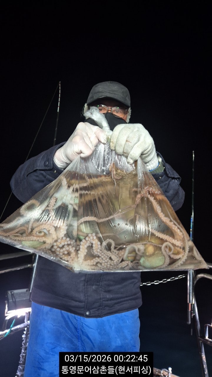 ����ڰ� �ø� �̹���