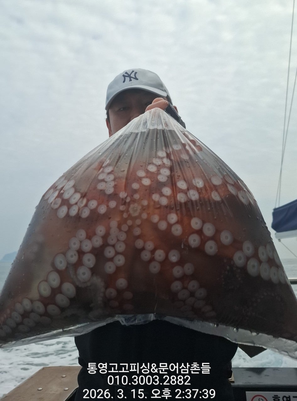 ����ڰ� �ø� �̹���