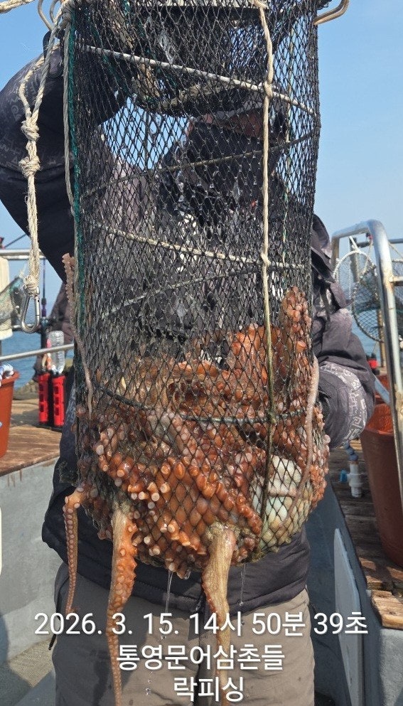 ����ڰ� �ø� �̹���