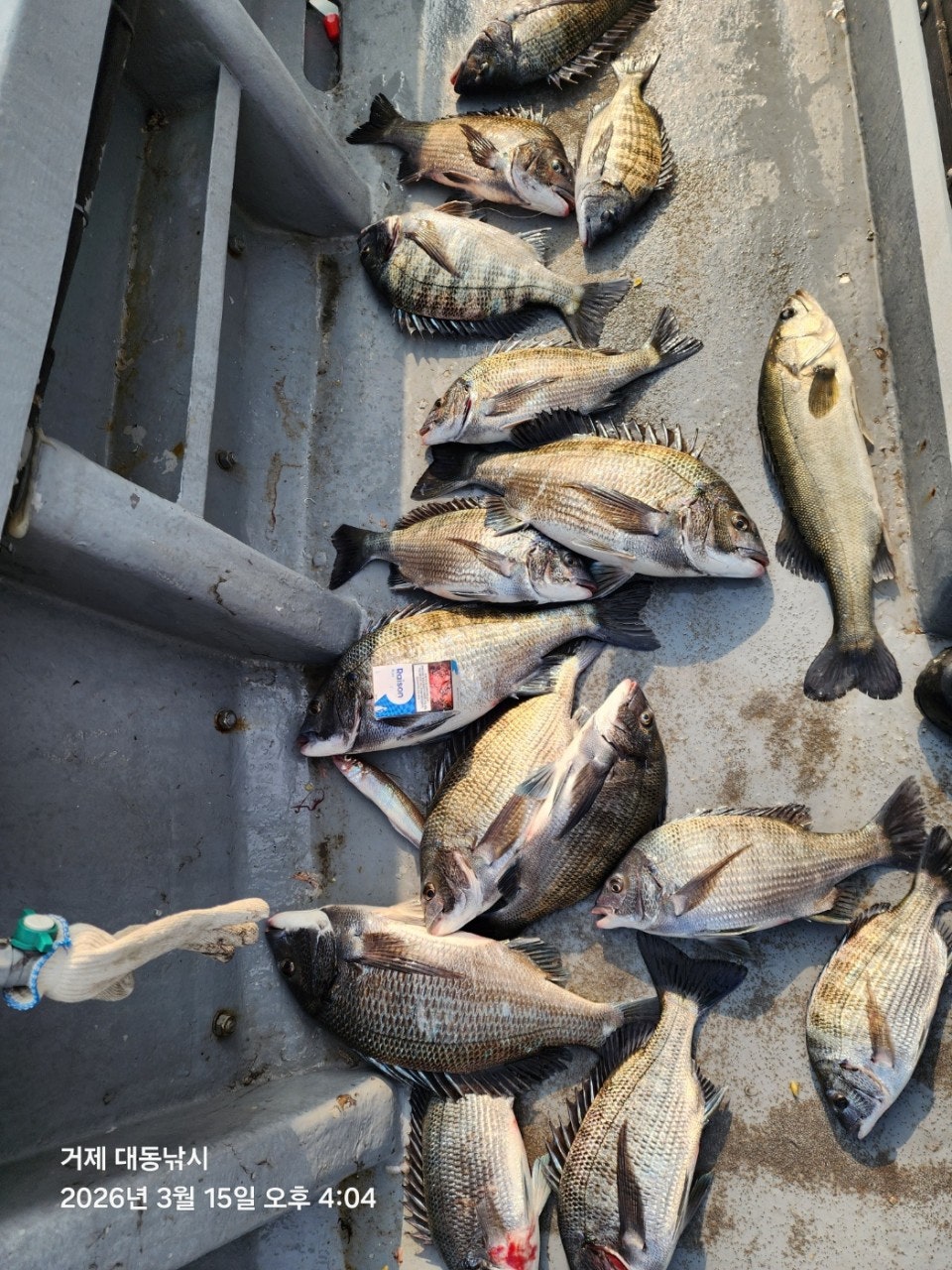 ����ڰ� �ø� �̹���